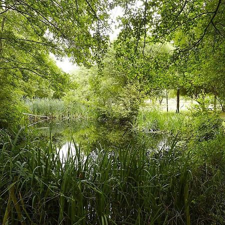 Un Petit Coin De Campagne Dans Le Pays De Saint-Gilles Saint-Maixent-sur-Vie Exterior foto