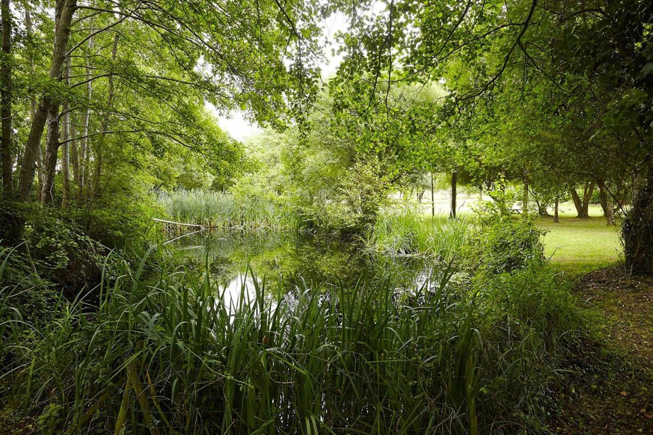 Un Petit Coin De Campagne Dans Le Pays De Saint-Gilles Saint-Maixent-sur-Vie Exterior foto